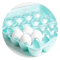 Egg Cartons