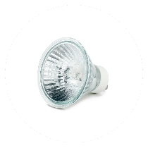 Halogen Bulbs